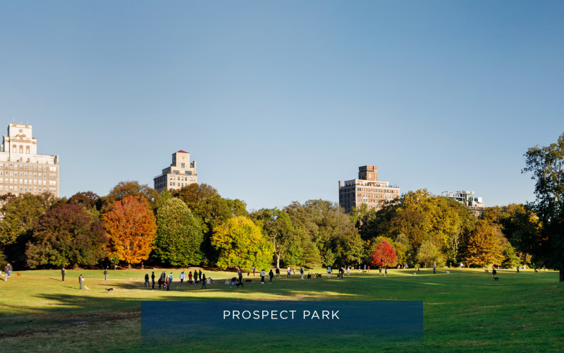 NEIGHBORHOOD_PPH_ProspectPark