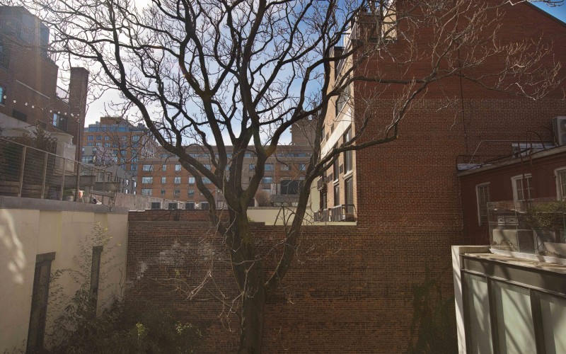 82Jane #3D VIEW