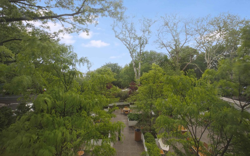 Enclave #226 VIEW